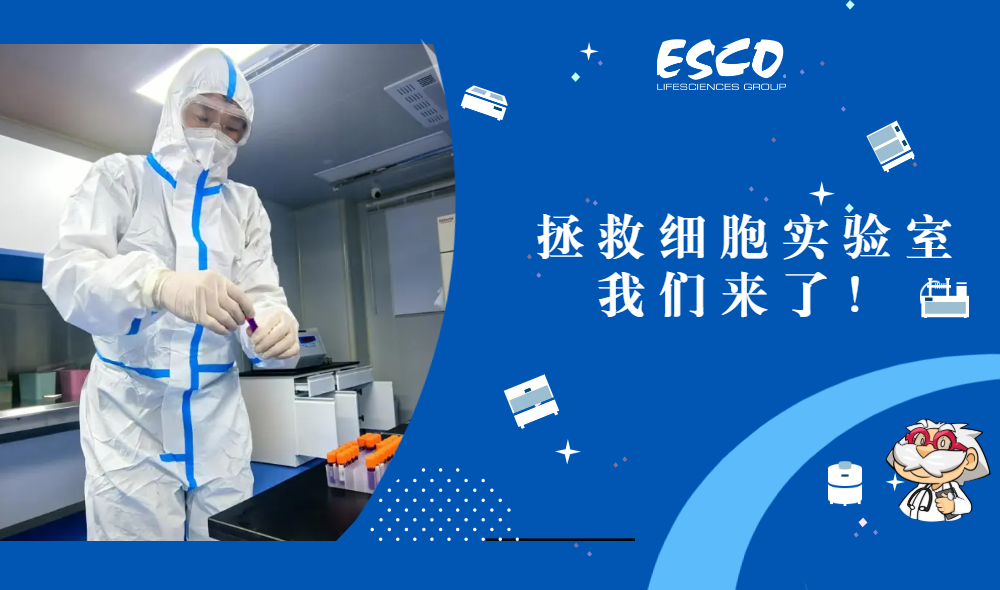 从绝望到重生：我是如何用过氧化氢熏蒸&ldquo;救活&rdquo;一间细胞实验室的