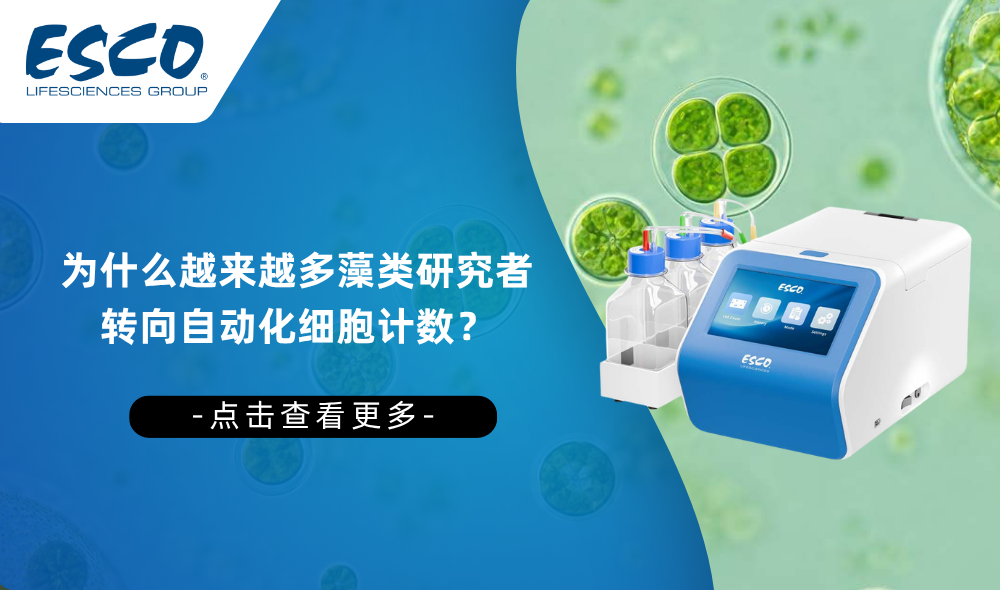 告别&ldquo;慢&rdquo;与&ldquo;不准&rdquo;：为什么越来越多藻类研究者转向自动化细胞计数？